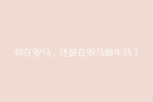 你在罗马，还是在罗马做牛马？