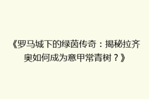 《罗马城下的绿茵传奇：揭秘拉齐奥如何成为意甲常青树？》