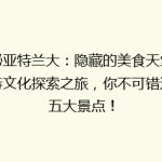 揭秘亚特兰大：隐藏的美食天堂与独特文化探索之旅，你不可错过的五大景点！