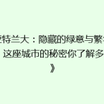 《亚特兰大：隐藏的绿意与繁华交织，这座城市的秘密你了解多少？》